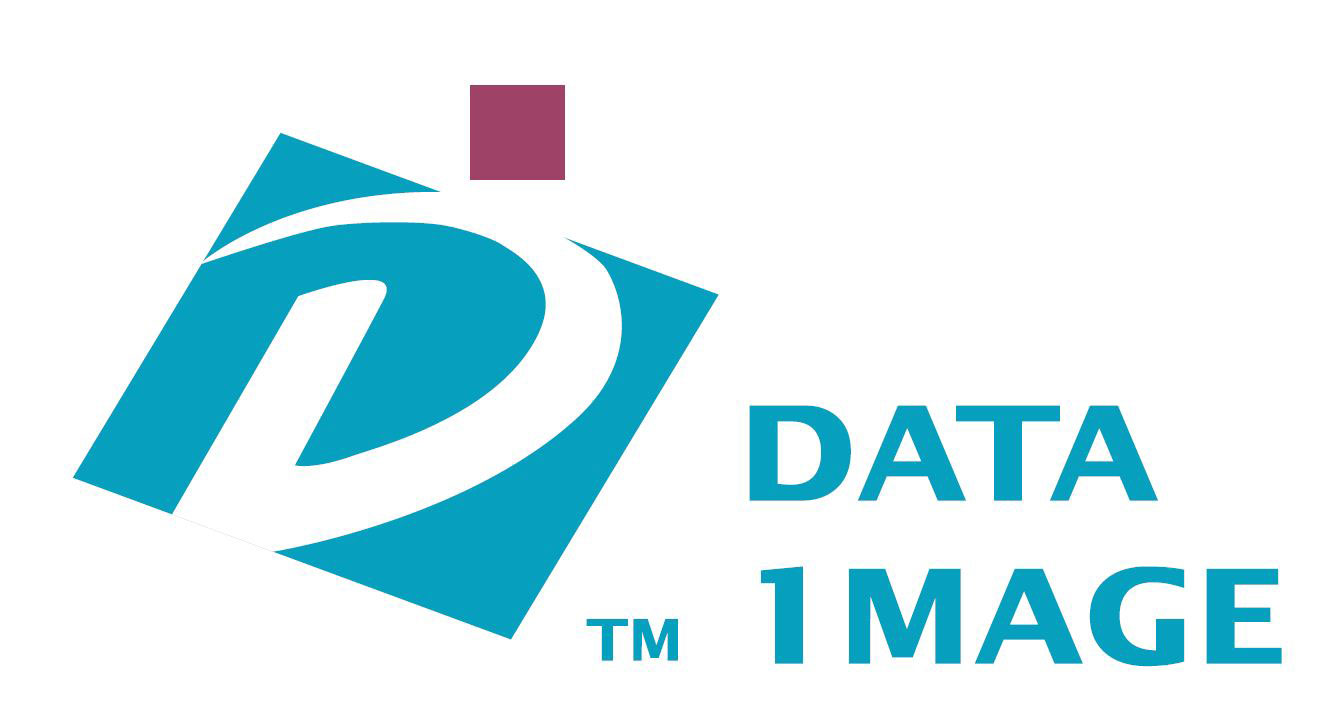DataImage logo